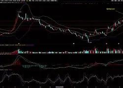 Dota2引发投注狂潮,赔率走势成谜 Dota2引发投注狂潮,赔率走势成谜