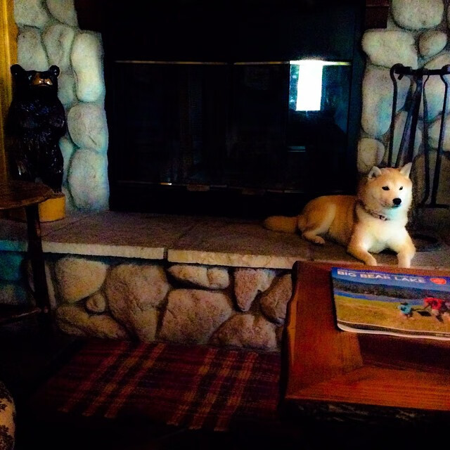 防守的棱镜，当佩德里用催眠术锁死F1街道赛之夜