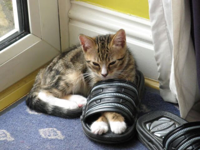 切断宿命,特别时刻,切特加时赛12分点燃天山奇迹