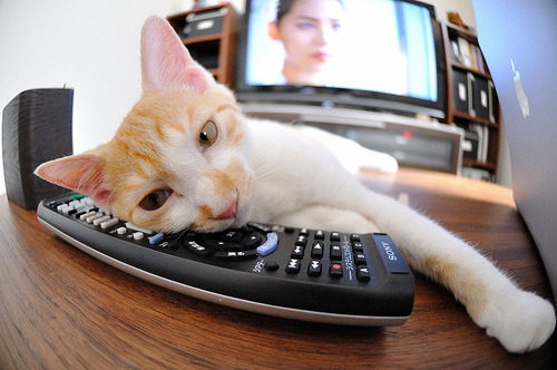 盾与长矛,现代篮球的终极博弈