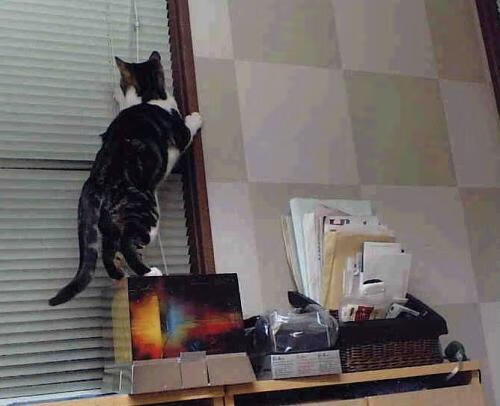 改写历史的一夜，2026世界杯焦点战，深圳新浪潮正面击溃广东王朝