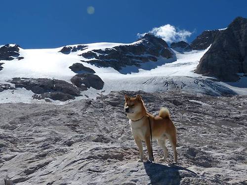 当抢七失去悬念，皇马用提前终结写就的欧冠唯一性