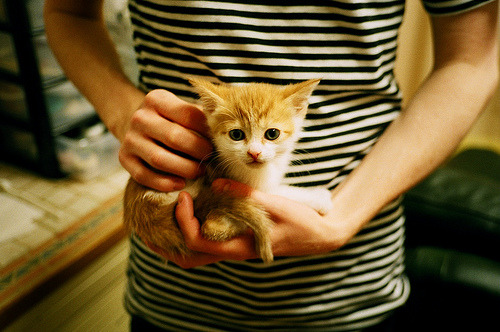 富安健洋与沙漠之狐,防守艺术的隔空交响,破解利物浦的进攻密码