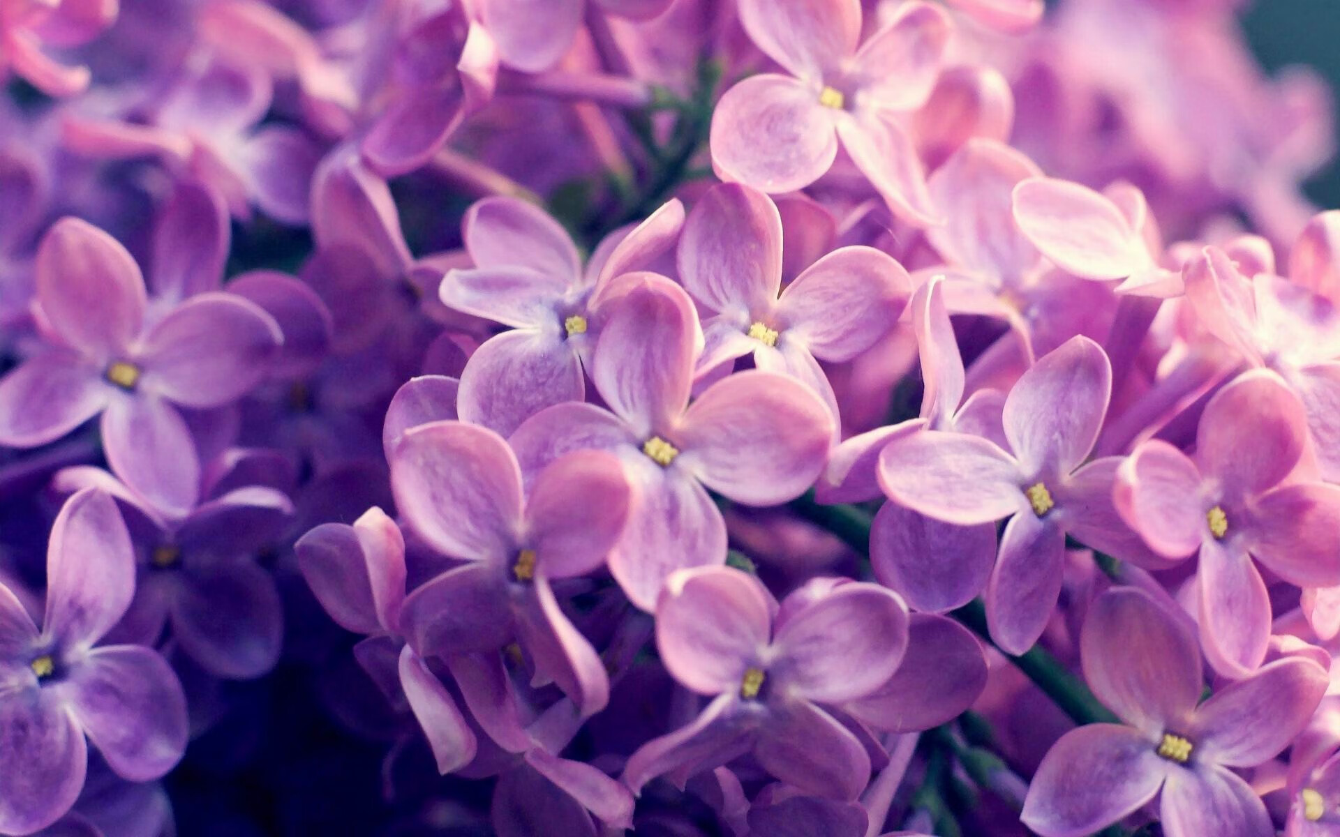 恩比德时刻，唯一的历史级统治力，独行侠如何在老鹰主场书写碾压传奇