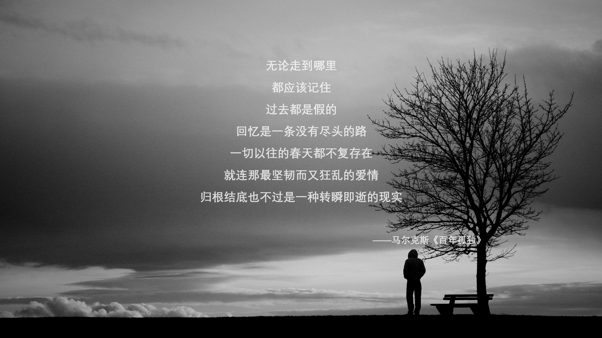 逆袭叙事终结王朝悬念，黄蜂横扫广东重塑联赛版图