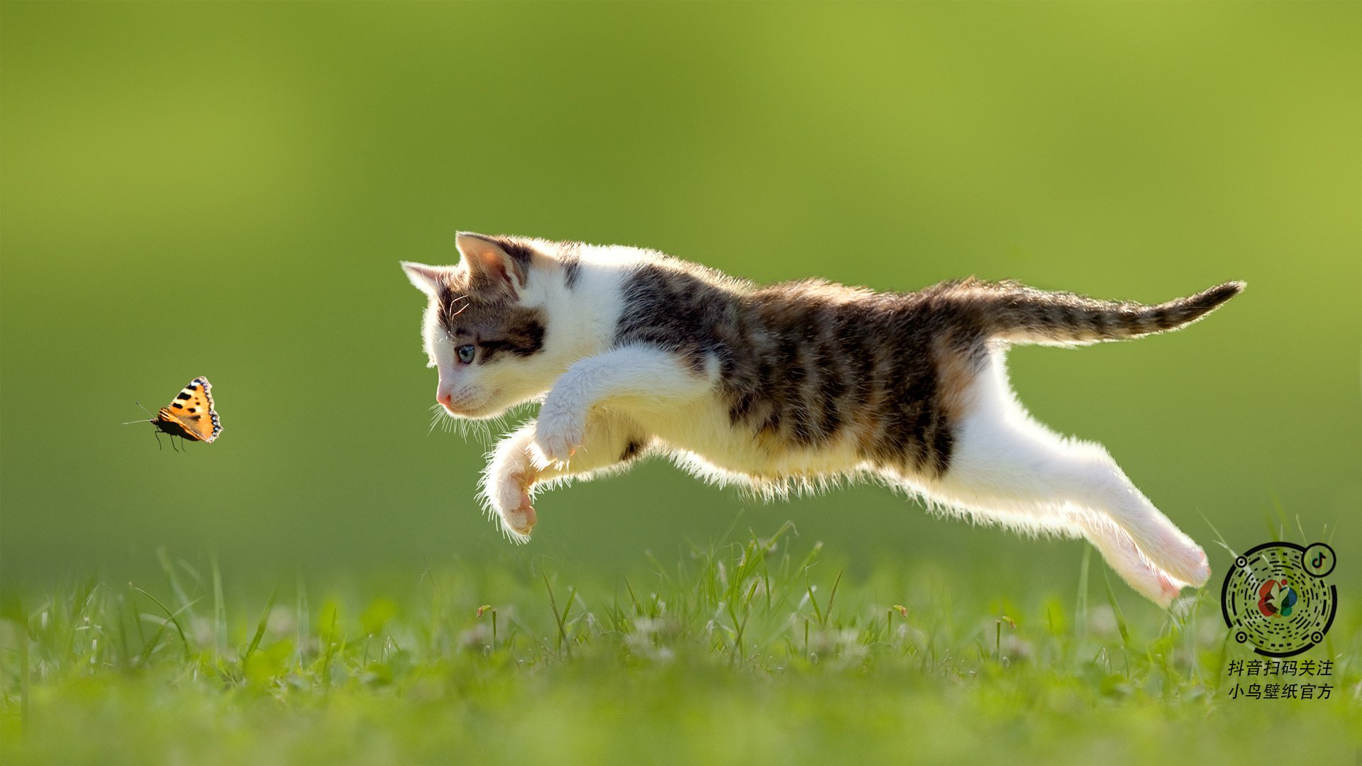 风暴之眼，当喀麦隆雄狮在威斯特法伦驯服大黄蜂