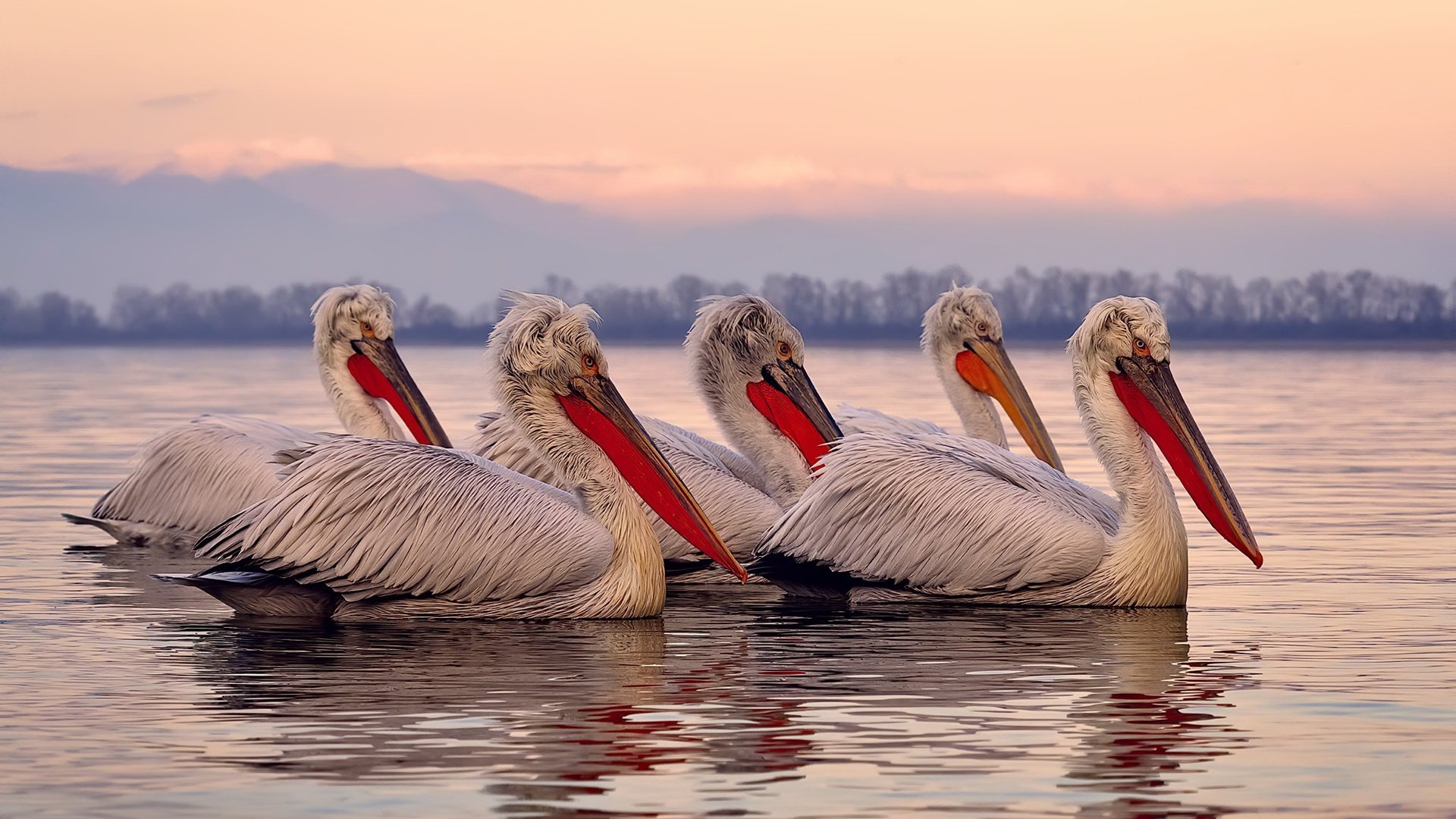 孤胆英雄！劳塔罗一剑封喉，里昂绝境逆转银河战舰