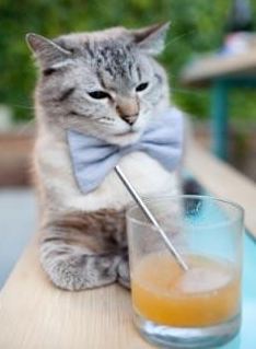 尼日利亚对阵巴西，马丁内利稳定得不像人类