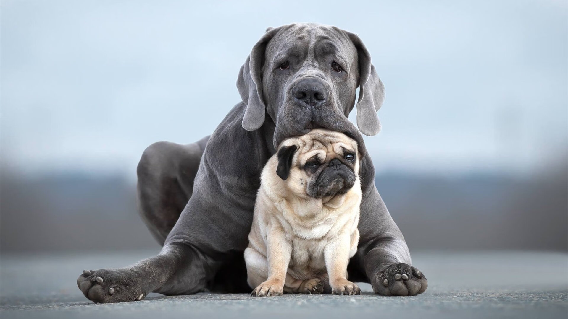 卡塔尔鏖战莱比锡红牛,一球封喉,巴斯托尼成为关键先生