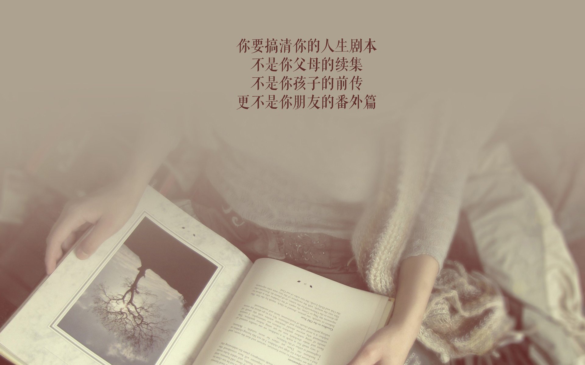逆转之夜,2026世界杯E组生死战,葡萄牙绝地翻盘波兰,哈兰德独造三球闪耀全场