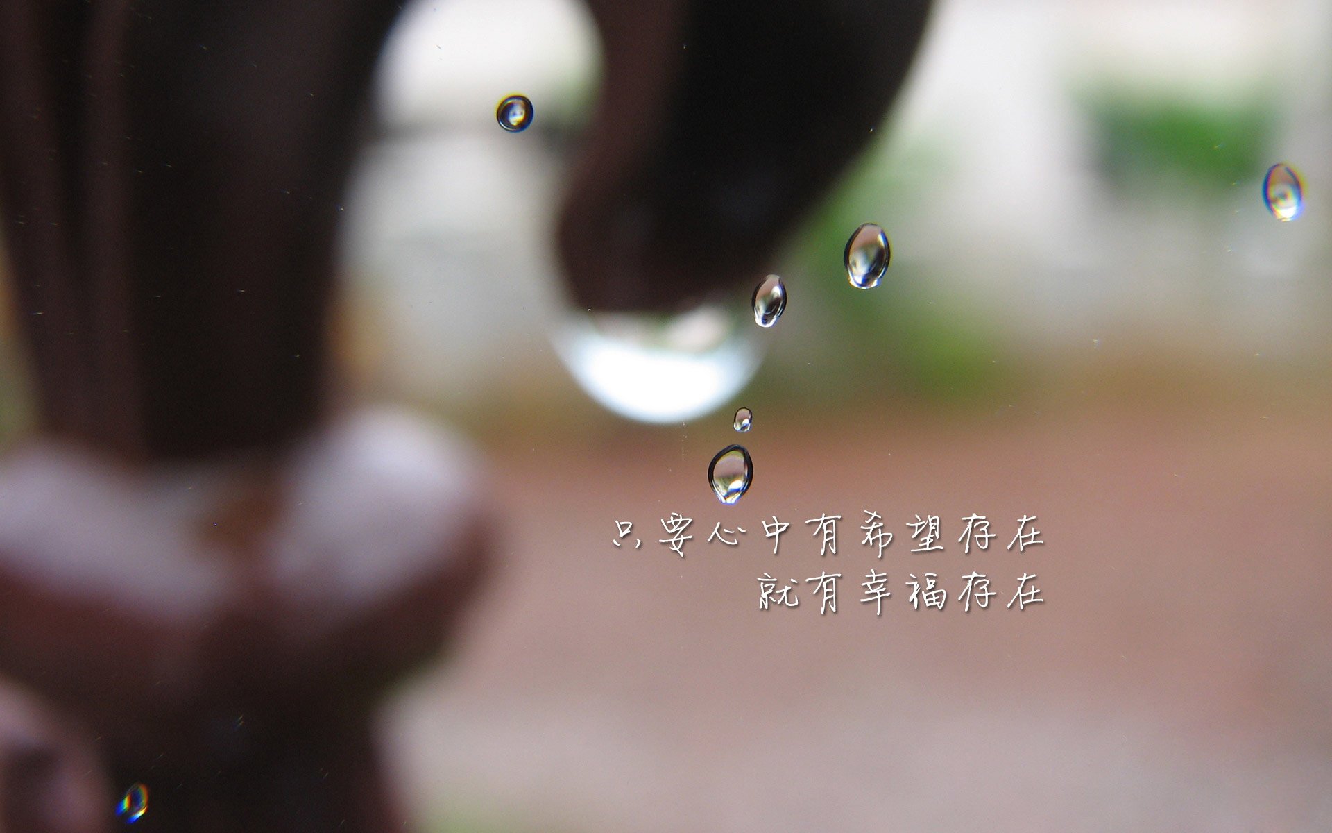 孤星独耀，2026世界杯H组关键战，斯洛伐克碾压伊朗，努涅斯带队取胜，状态火热引燃全场