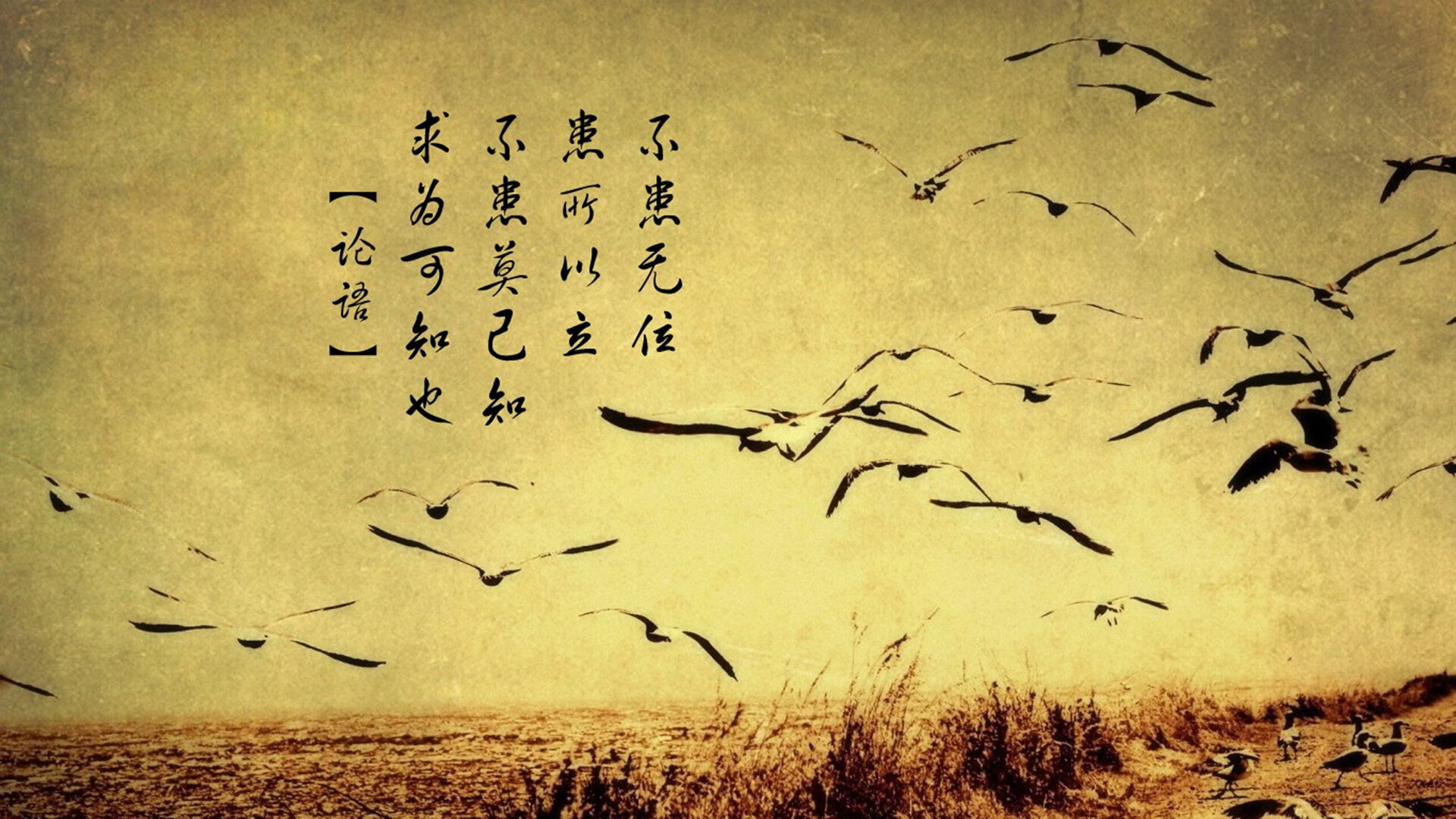 独步A组,2026世界杯揭幕战,印度风暴席卷哥伦比亚,久保建英一剑封喉